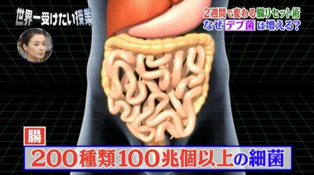 intestinal1